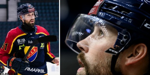 Djurgården Hockey: Utspelet: ”Dick är orättvist bedömd”