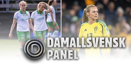 Panel: ”Kul att Hammarby inte är ostoppbara”
