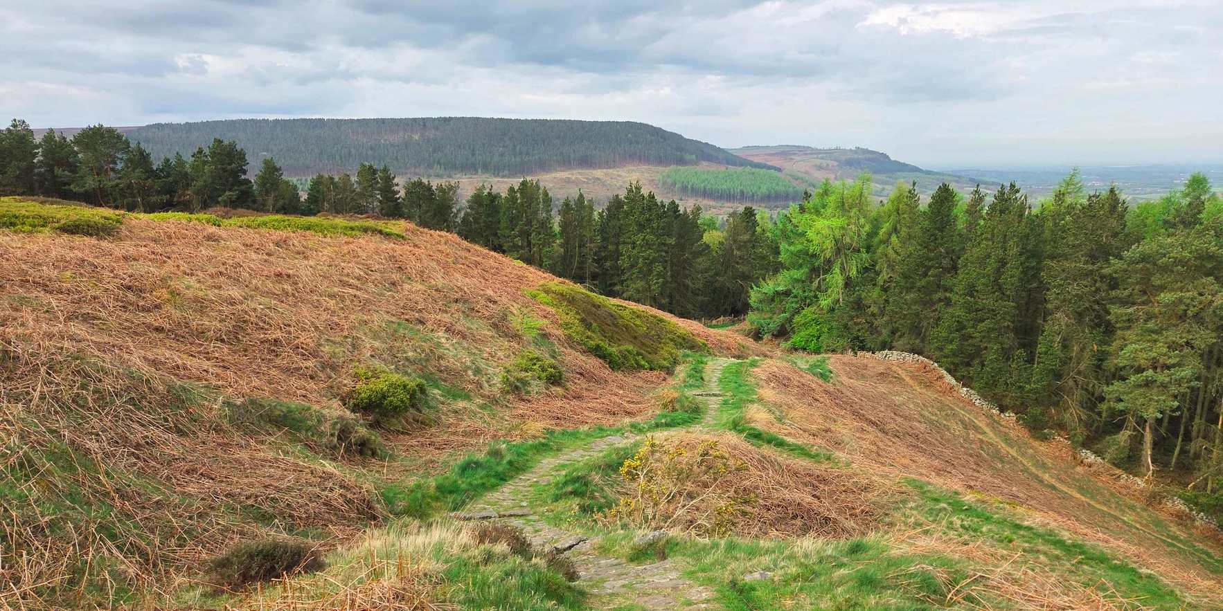 North York Moors